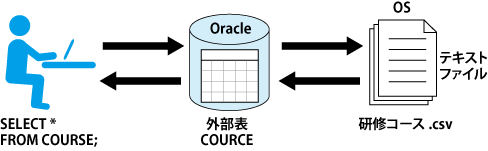 図1 外部表