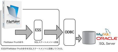 ESSがFileMaker Proの命令をSQLステートメントに変換してくれるので、利用者はSQLに関する知識が不要 ESSがFileMaker Proの命令をSQLステートメントに変換してくれるので、利用者はSQLに関する知識が不要