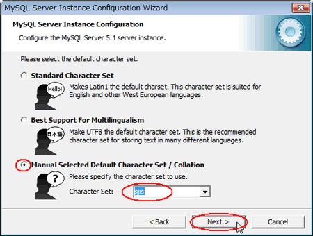 図03:「Manual Selected Default Character Set/Collation」に変更し、Character Set「sjis」を選択
