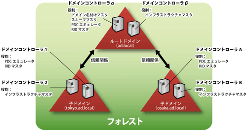 図2 シングルフォレストマルチドメインにおけるFSMOの配置例