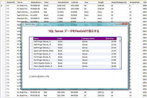 簡単な設定だけでSQL Serverデータベースファイルからデータを取り出して表示できる