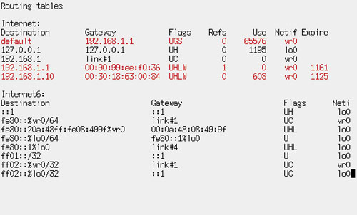 図3.3 topless -c netstat -nrの実行例 図3.3 topless -c netstat -nrの実行例