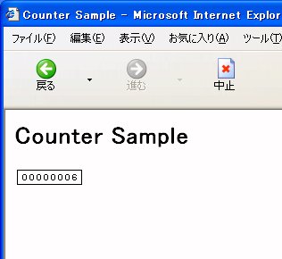 Fig1:アクセスカウンタを実行した様子