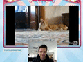 14225_a.gif