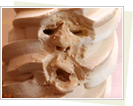 photo.gif