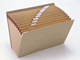 icon2.gif