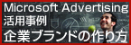 msa.gif